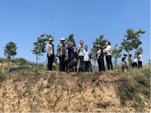 太原尖草坪区人大常委会专题督导视察耕地保护、空气质量改善工作