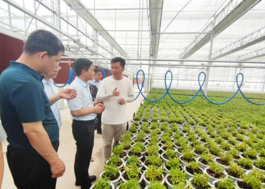 太原娄烦县委副书记、县长景博带队赴安徽省六安市霍山县等地学习考察乡村振兴工作