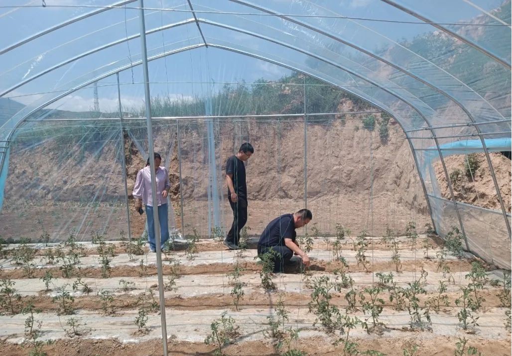 太原娄烦县兑集沟村：“方寸地”变“致富田”