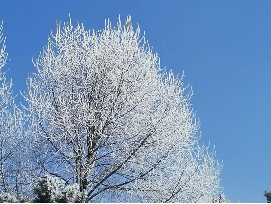 【一笔一画皆有情 】 晋城市检察机关书画摄影作品邀您品鉴