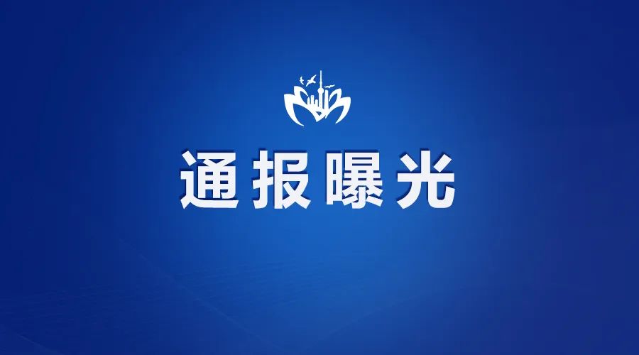 上海市纪委监委通报四起农村集体“三资”管理领域典型问题