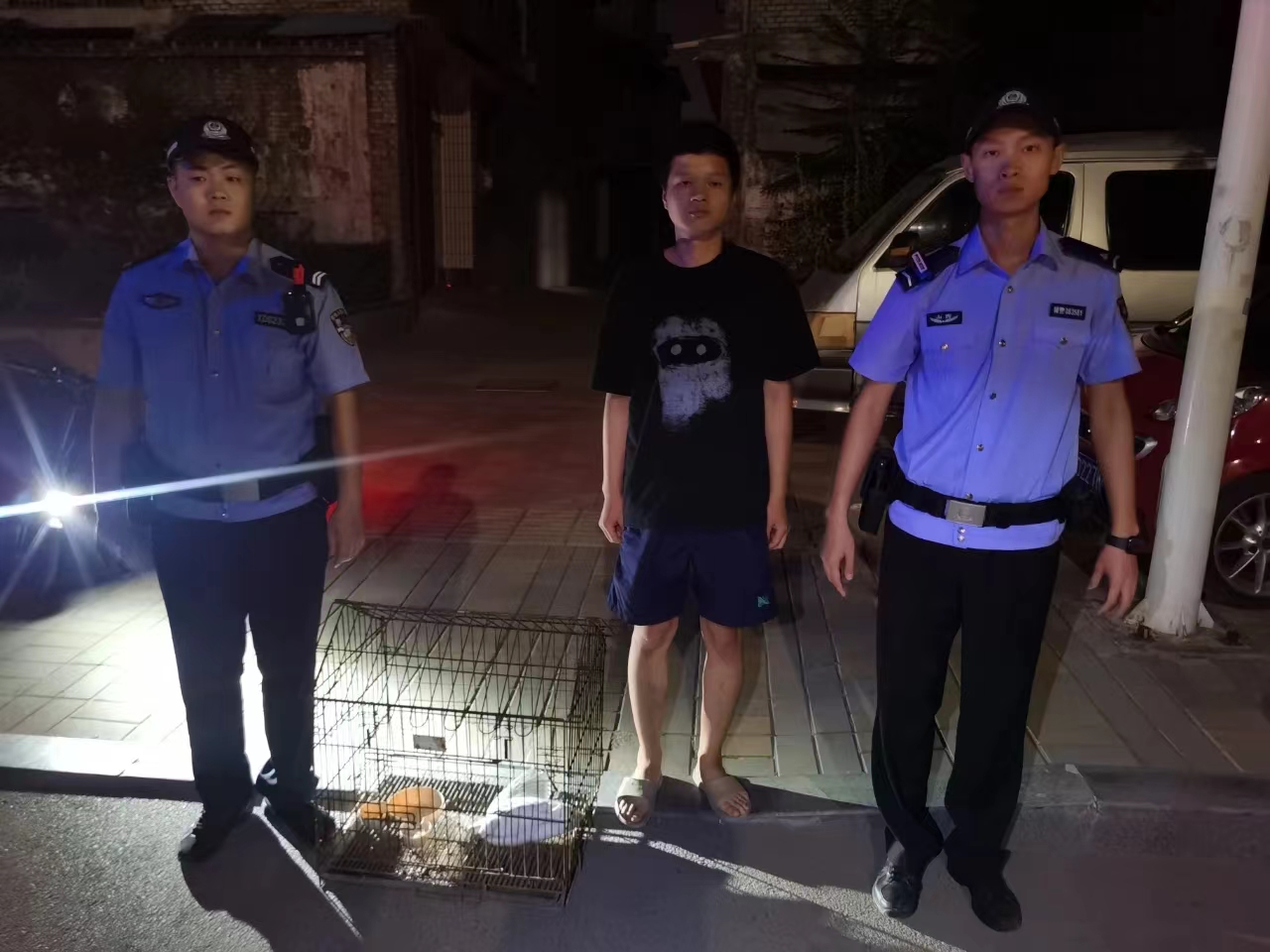 【夏季行动】临汾尧都：警民爱心接力救治一只白鹭