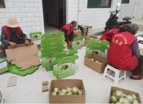 太原阳曲县泥屯镇中兵村：乡村振兴产业旺   梨果飘香农家富