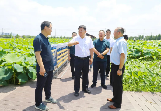 “农文旅”深度融合，为太原娄烦乡村振兴注入新活力