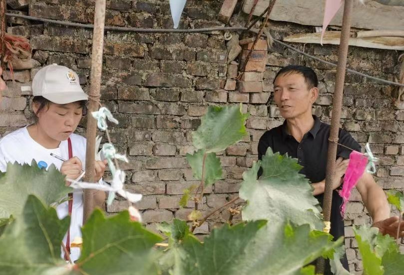 微信图片_20230724113904.jpg 微信图片_20230724113904.jpg