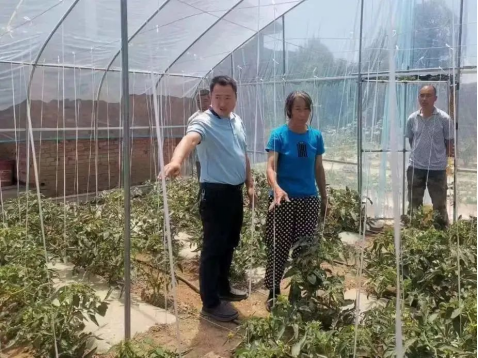 太原娄烦县：“小庭院”衍生“致富金”