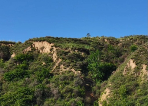 太原娄烦县天池店乡兑集沟村：盘活土地资源  赋能乡村振兴