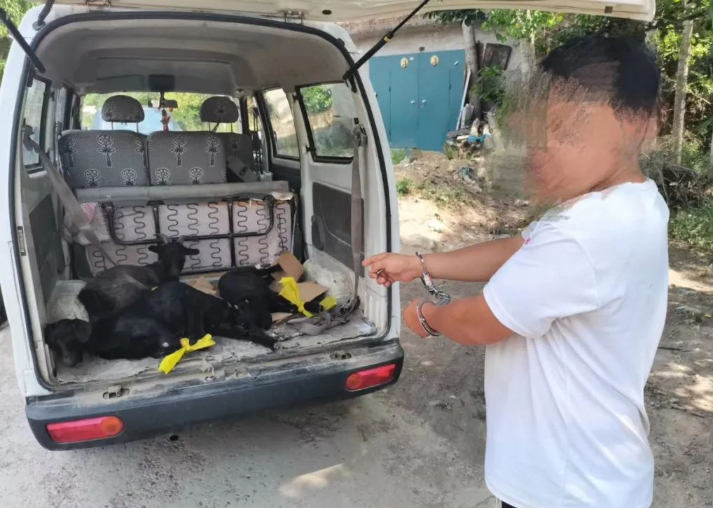 图片14.png 图片14.png