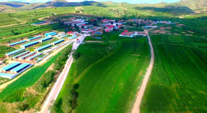 忻州市神池县：有“大本事”的“小支书”