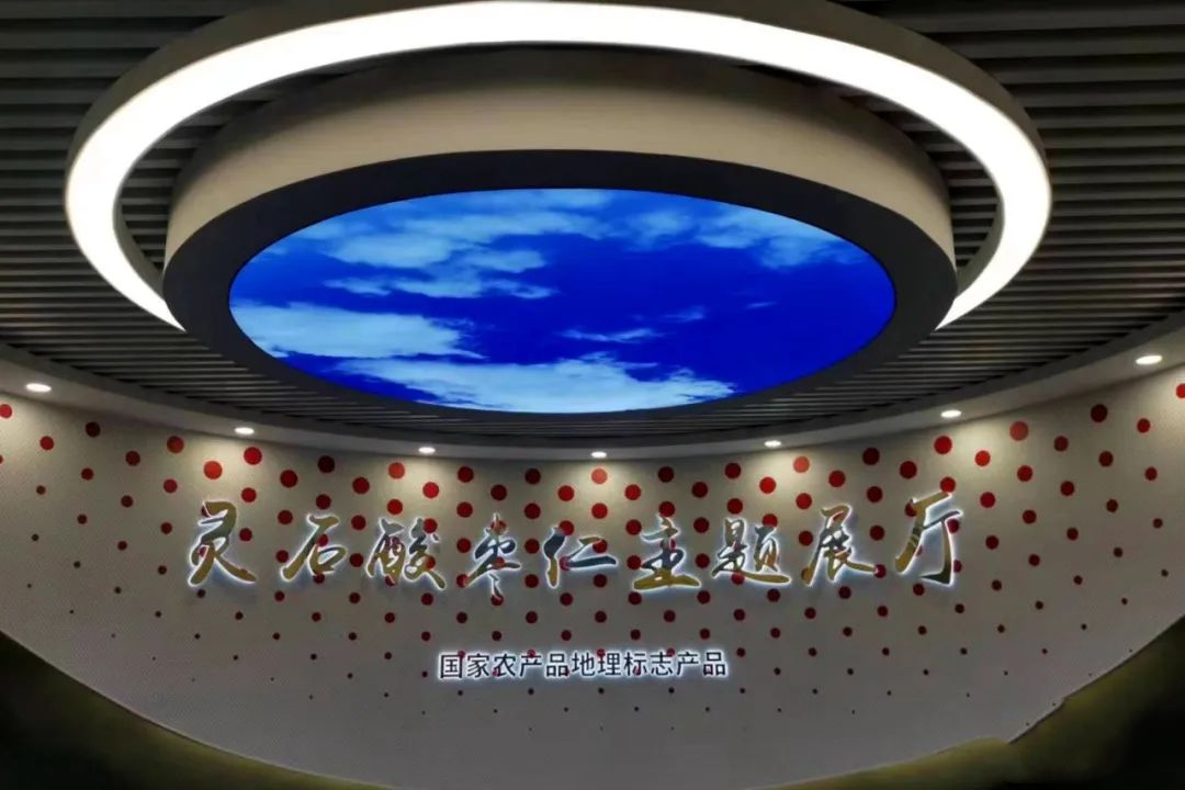 山西灵石县：乡土人才赋能酸枣产业发展