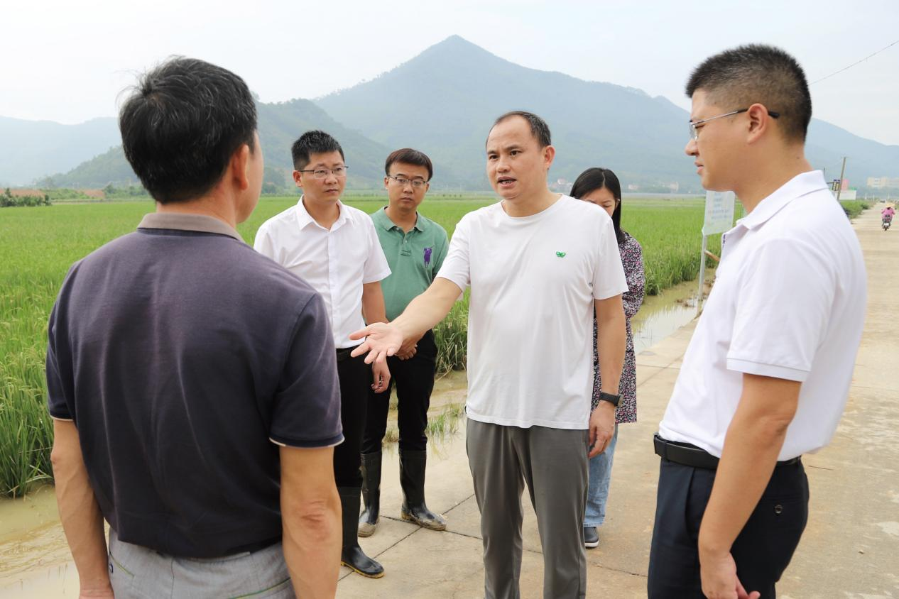 福建漳浦县委书记到一线指导救灾减灾工作