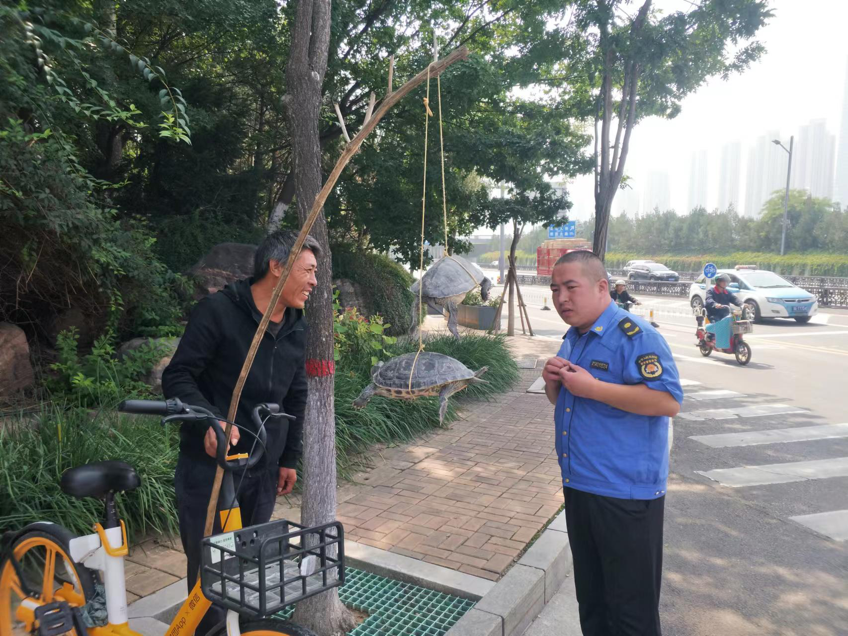 太原：占道挑杆售龟  城管快速查处