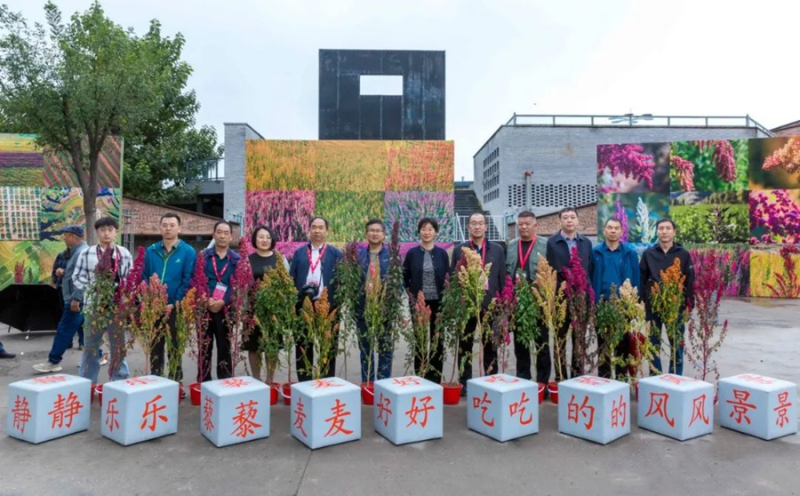 图片8.png 图片8.png