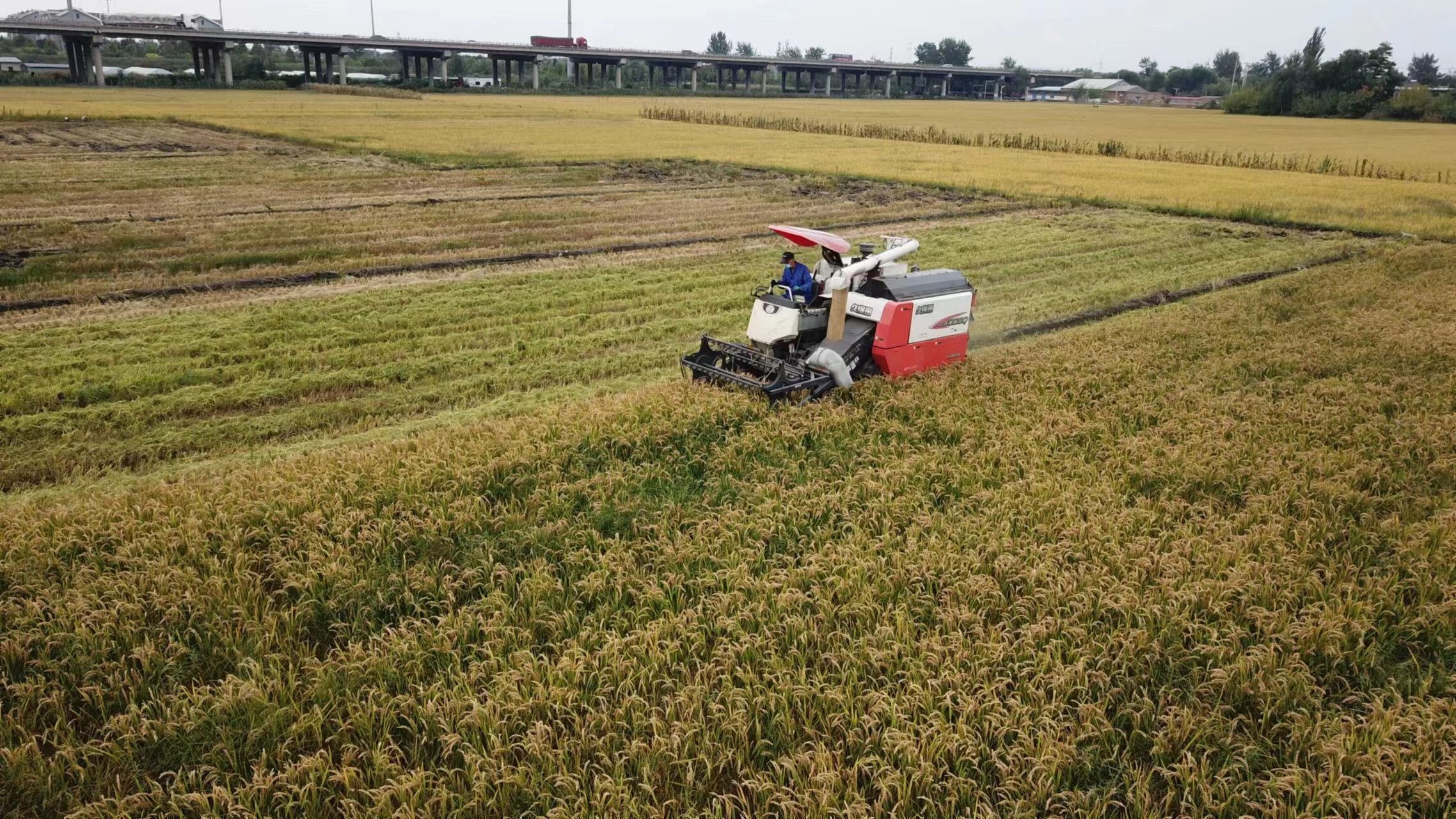 2d06318118184f490b8e453083d66a5.jpg 2d06318118184f490b8e453083d66a5.jpg