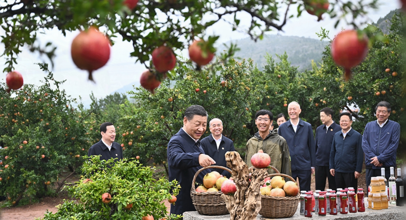 热解读｜火红石榴如何带来红火生活 总书记再谈这篇“大文章”