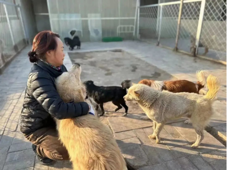 李晋玲：女警官和流浪狗的故事