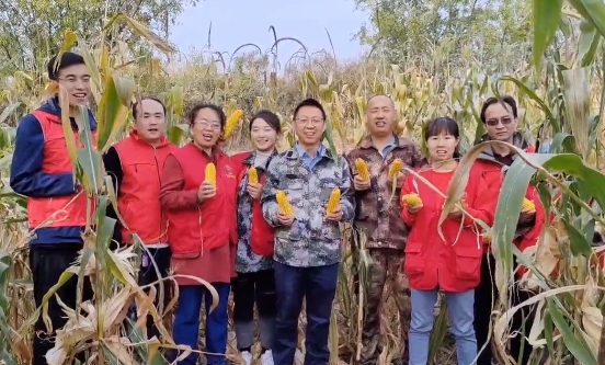 太原阳曲泥屯镇：党员服务到田间  助力秋收好“丰”景
