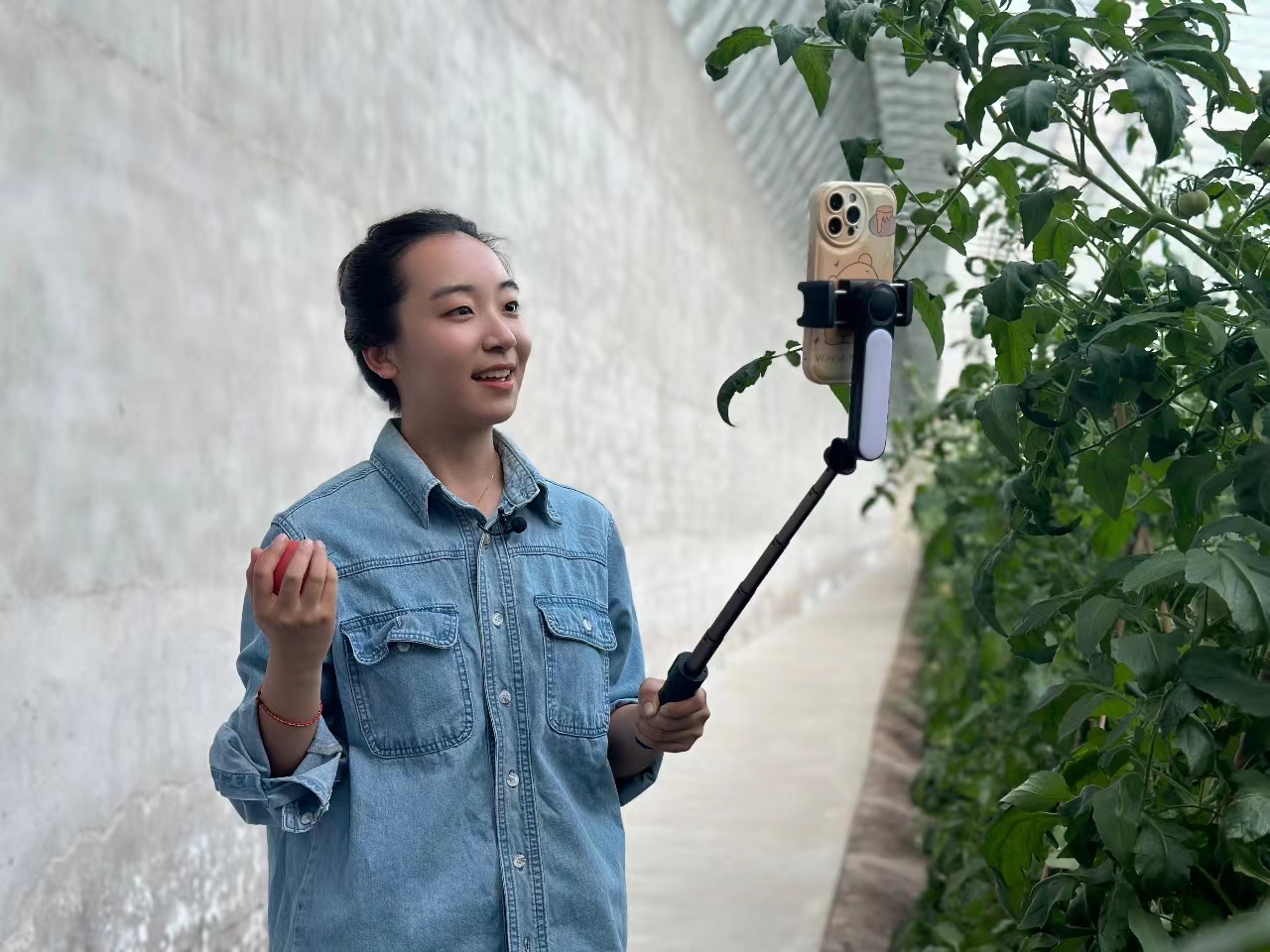 太原晋源区三家村海归新农人程玉姣：带领村民开启致富之路