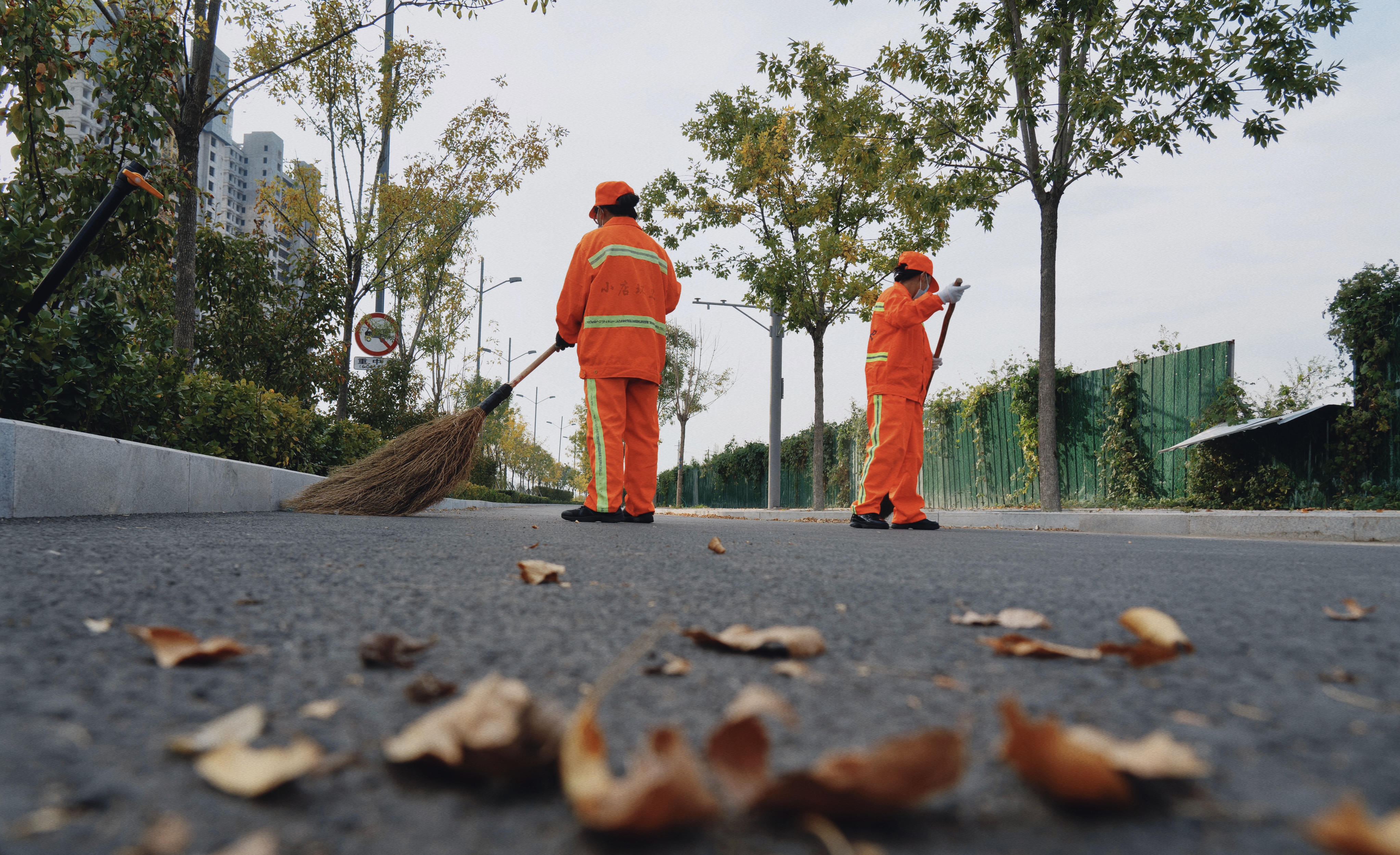 太原小店区环卫中心：秋叶清理，为你的道路换新颜