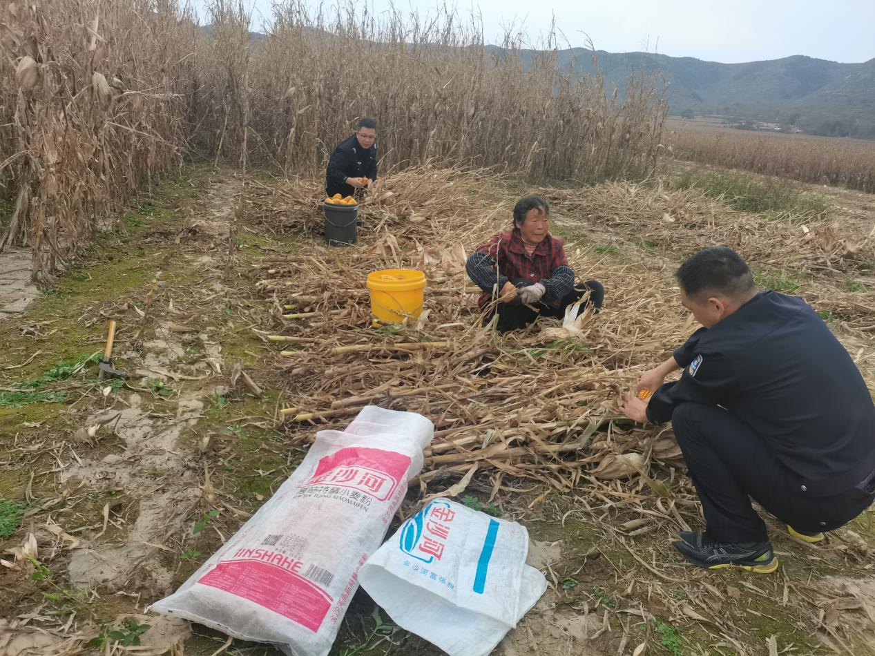 晋中左权县公安：心系民心办实事，助农秋收暖人心