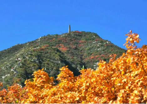 邂逅太原最美秋色  崛围红叶节今日启幕