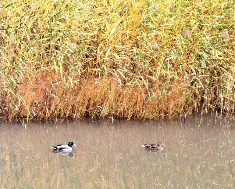 微信截图_20231024115321.png 微信截图_20231024115321.png