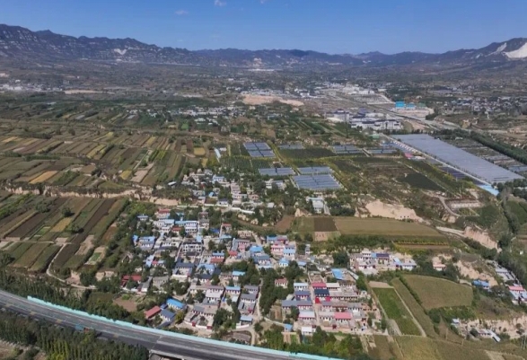 图片1.png 图片1.png