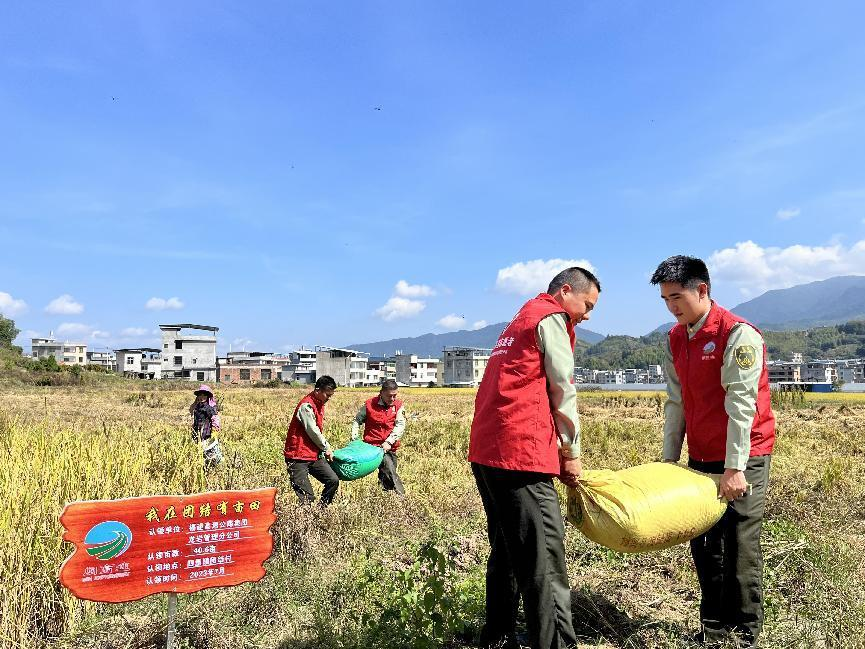 福建龙岩高速：“我在团结有亩田”喜获丰收