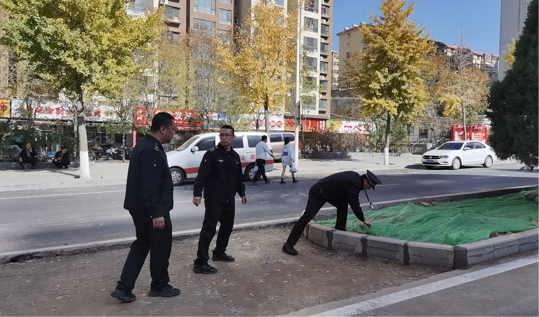 太原市城管部门快速处置一起损毁市政设施和擅自砍伐城市树木行为