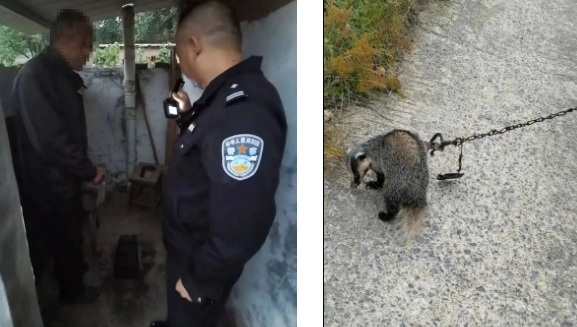 长治平顺公安破获一起非法狩猎案