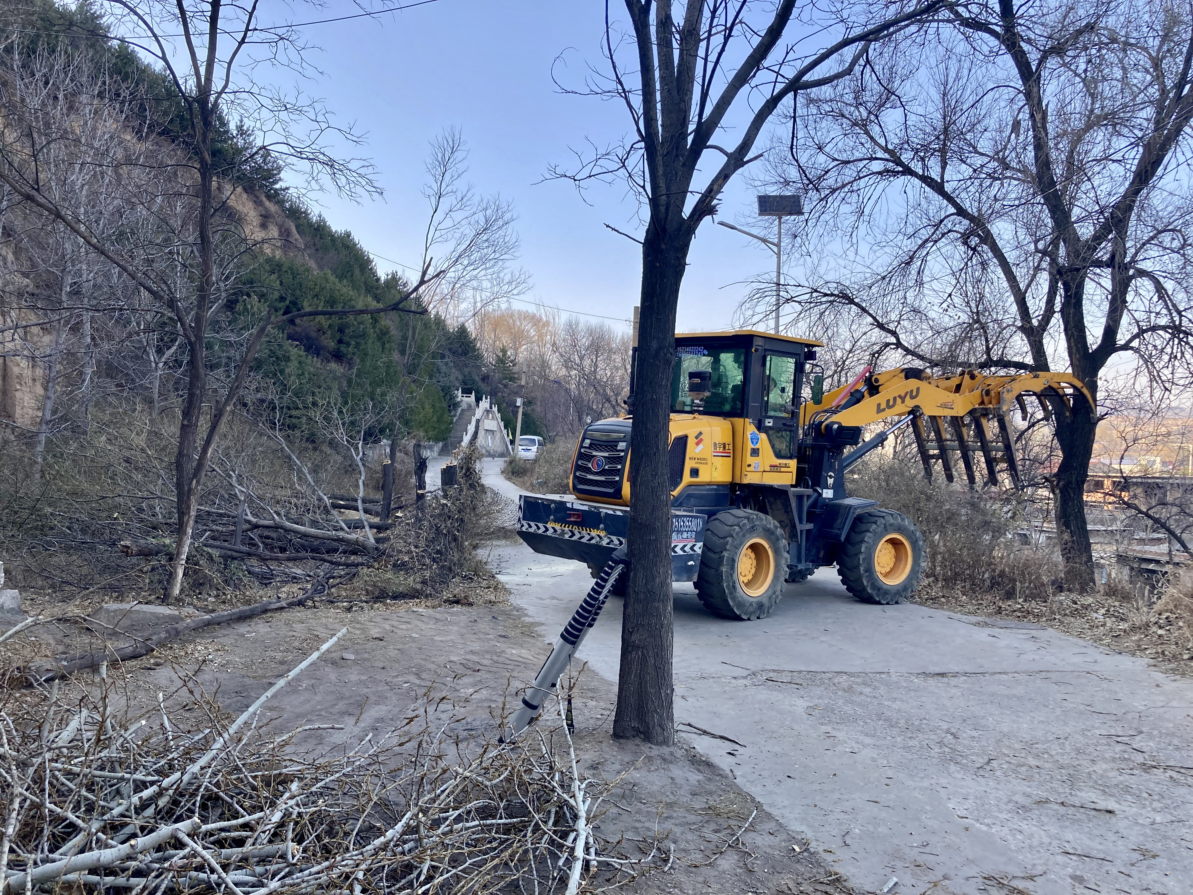 太原古交市镇城底镇下雁门社区：清理枯枝枯树  消除安全隐患