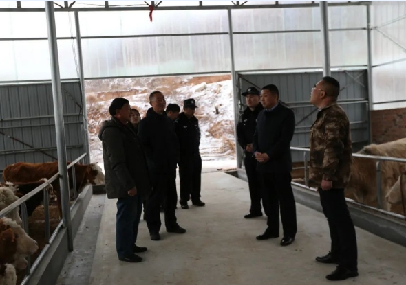 微信截图_20231211204927.png 微信截图_20231211204927.png