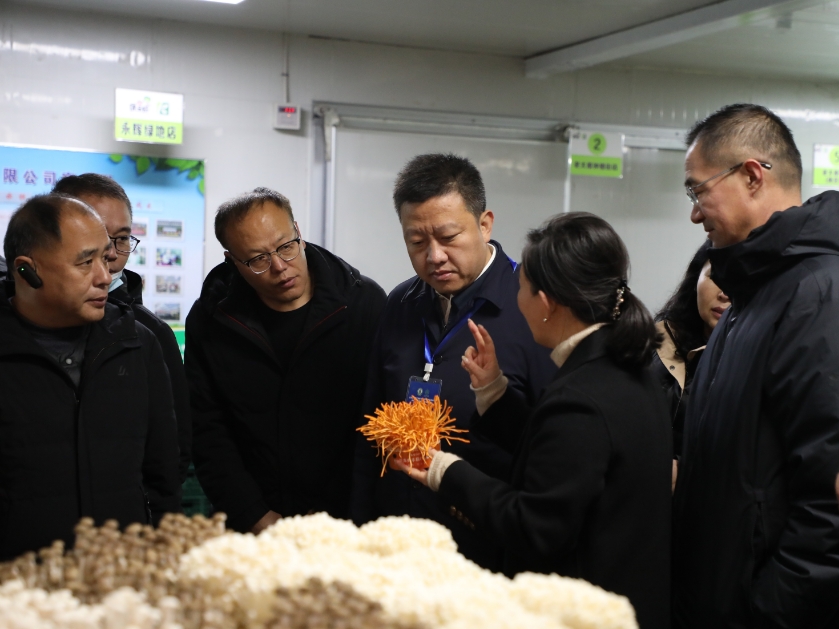 全国设施园艺绿色发展现场观摩会在太原小店区实地观摩