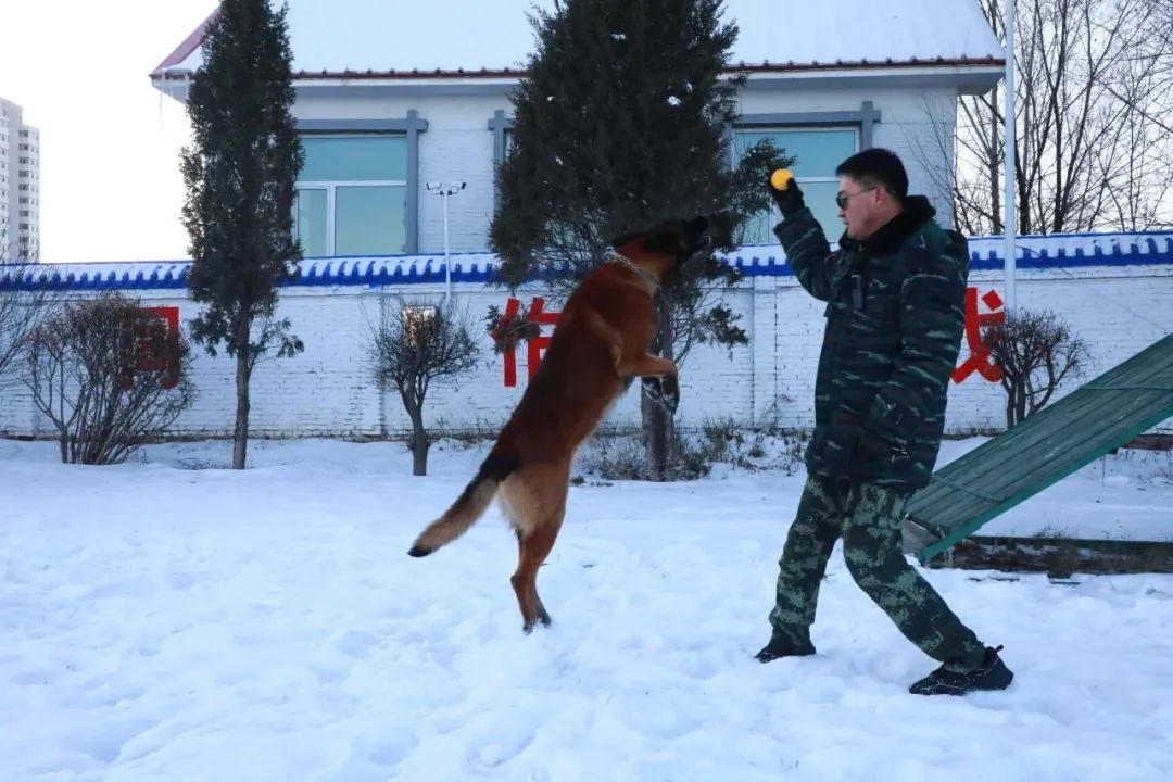 640 (1).jpg 640 (1).jpg