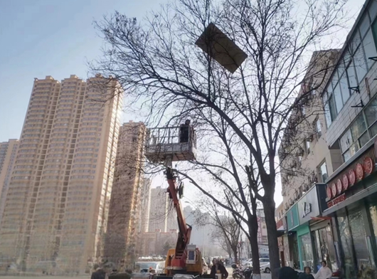 太原市城管法小店大队快速反应紧急行动消除高空安全隐患