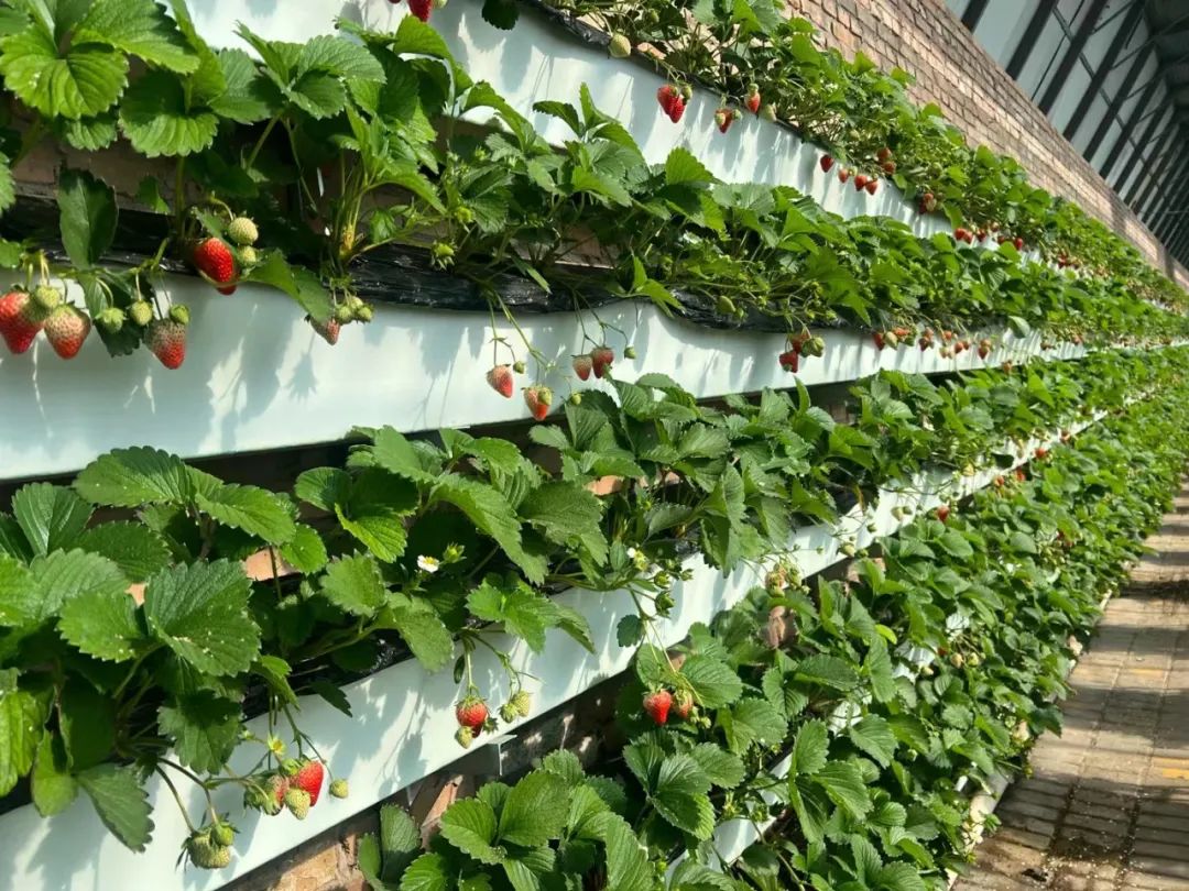 微信图片_20231231132330.jpg 微信图片_20231231132330.jpg