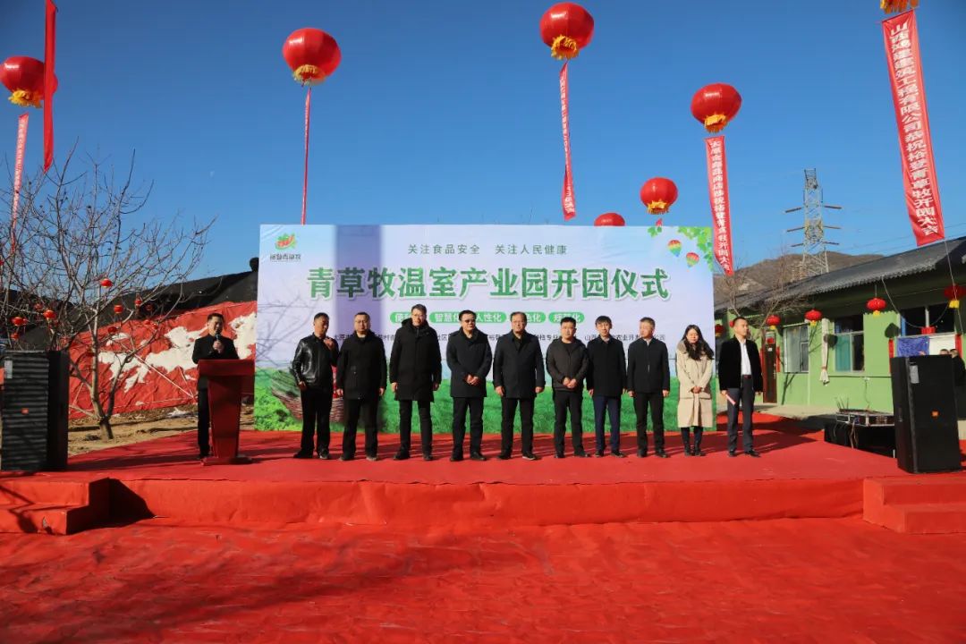 蔬菜大棚绿意浓  乡村振兴产业旺——青草牧温室产业园开园