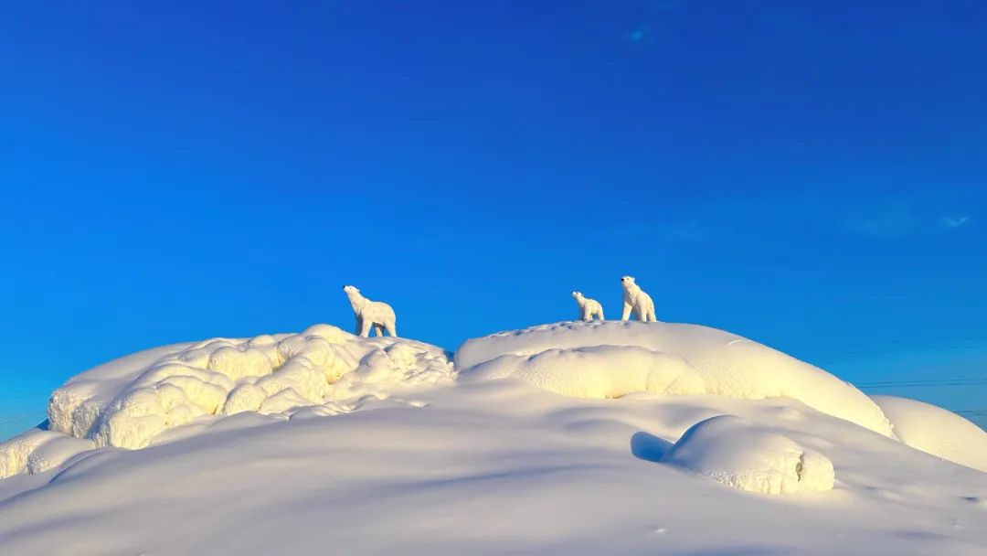 “稻”这里  畅玩冰雪大世界