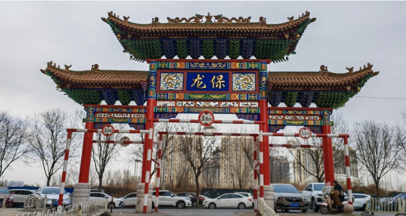 【龙年寻“龙”】太原小店区龙保社区——处都市繁华守为民初心