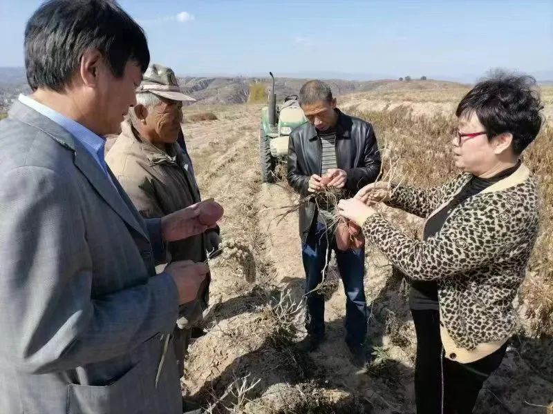 太原娄烦县：擂响“三部曲” 护航春耕备耕