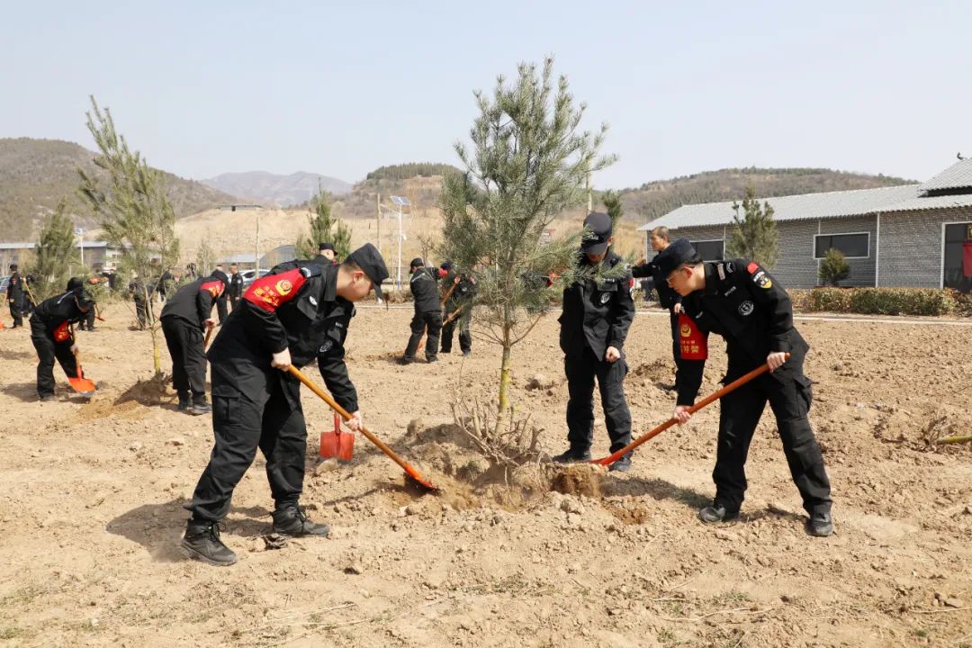 临汾洪洞：春风十里添新绿，公安植树正当时！