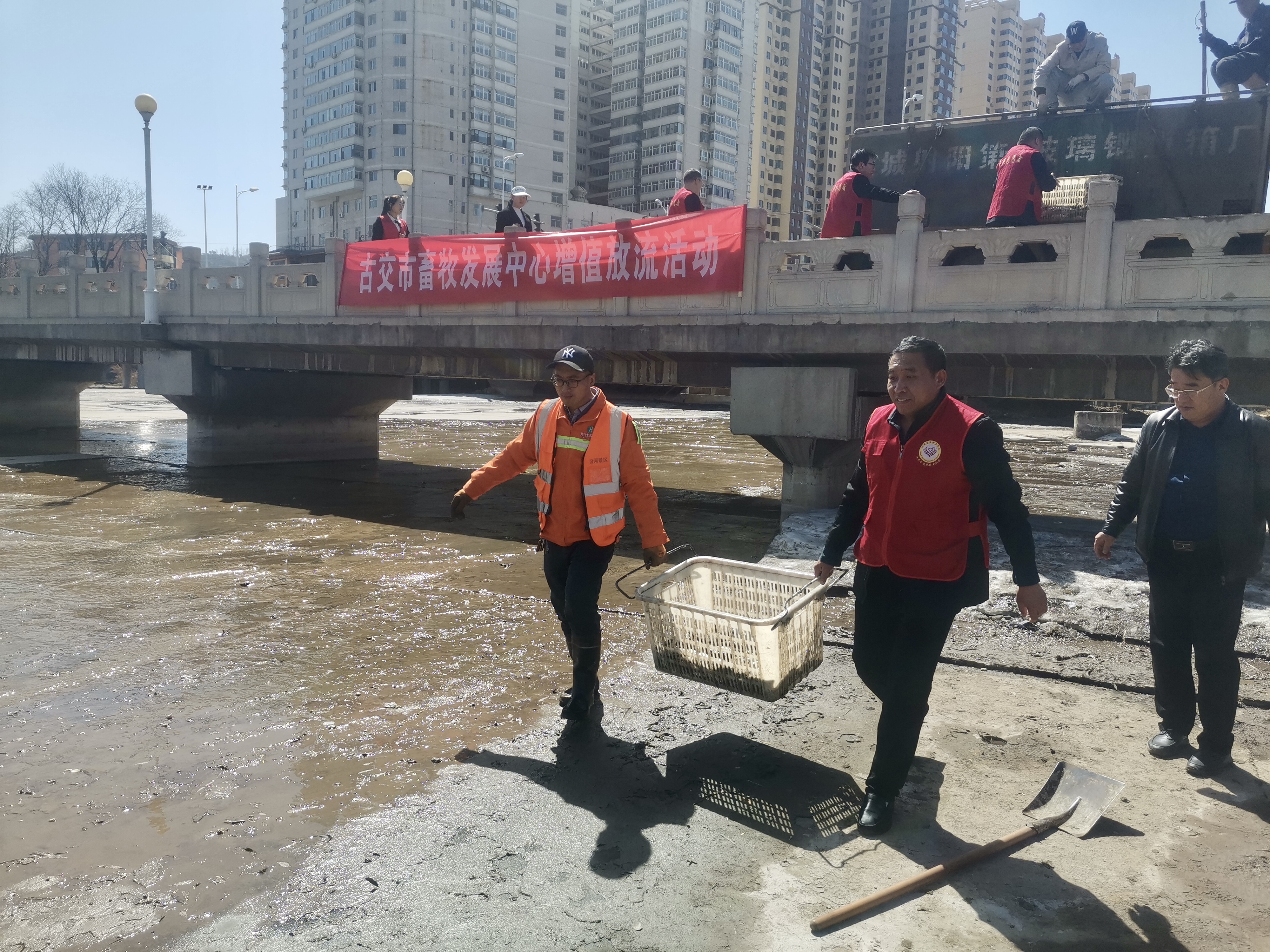 太原古交市：开展“增殖放流”共护“汾河生态”