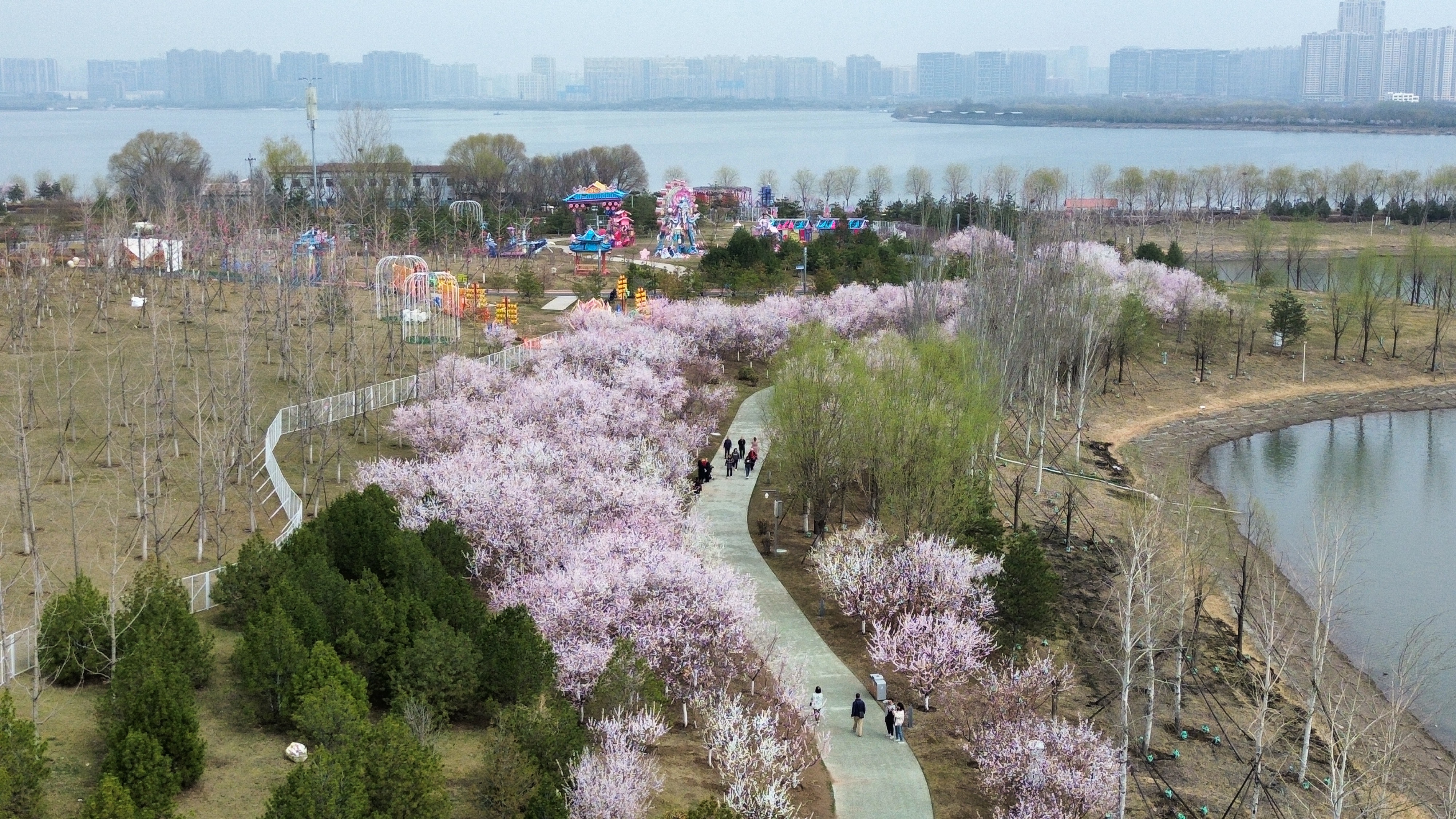 太原晋阳湖畔：浪漫桃花醉烟堤