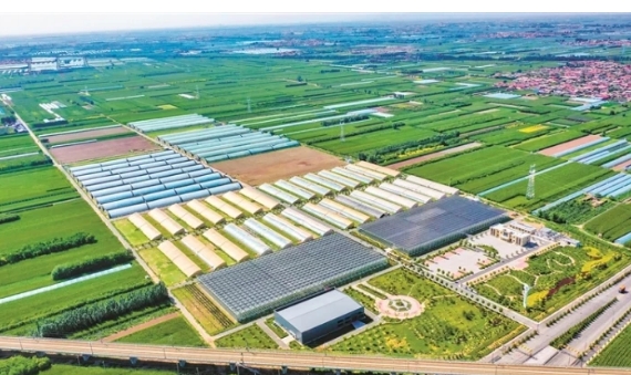 跃上葱茏再攀峰 ——晋中市全力打好“农高牌”赋能农业农村现代化和乡村振兴