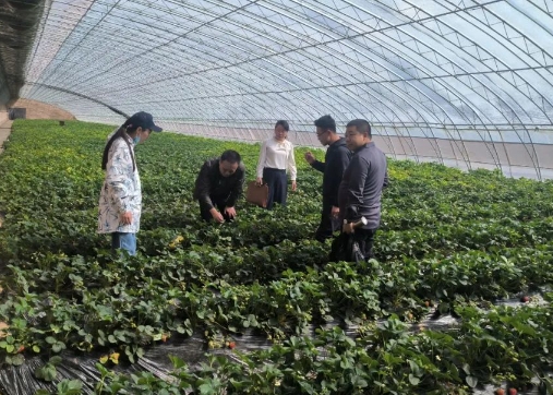 太原小店区2024年绿色食品现场检查工作有序开展