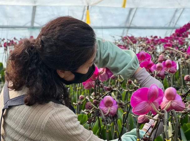 太原小店区刘家堡乡：按下春耕“农忙键” “三圈两点”绘蓝图