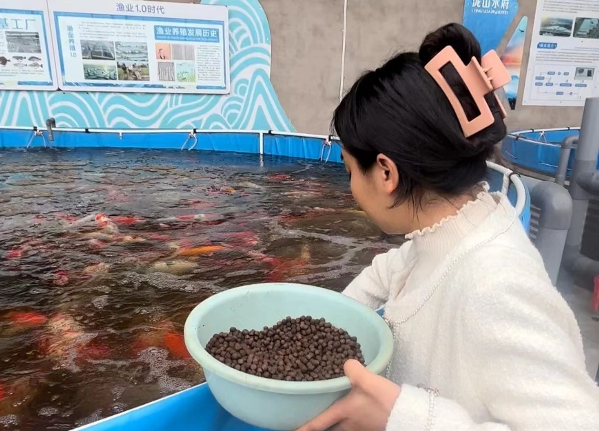 太原晋源区：95后海归创新“鱼菜混养”模式