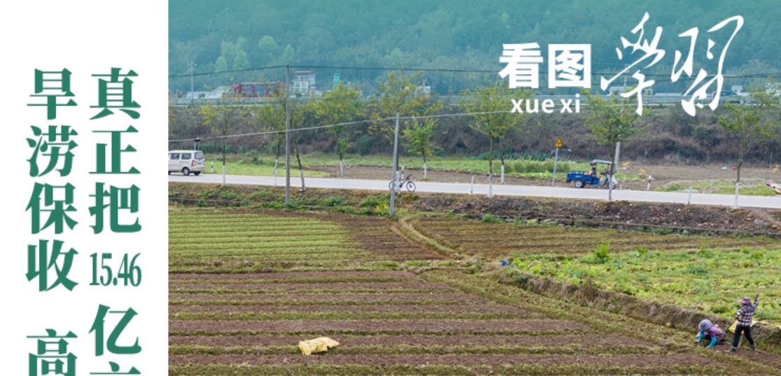 看图学习丨推广良田、良种、良法、良机 给农业现代化插上科技的翅膀