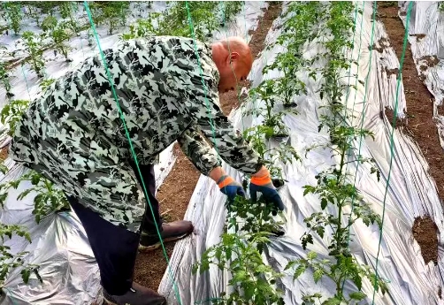 太原尖草坪区柴村街道万象“耕”新不负春