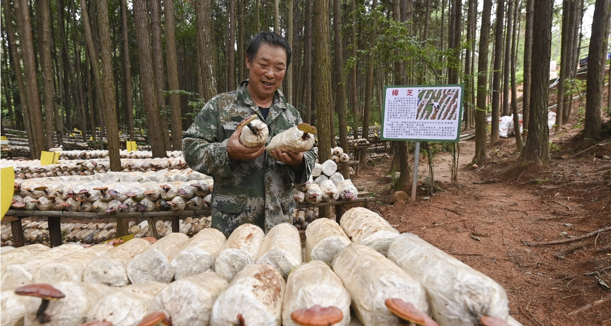 联播＋| 春和景明 跟着总书记写好中国绿色新答卷